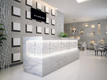 Load image into Gallery viewer, Estima Ceramica Vision Series White Polished 12" x 24" Porcelain Tile
