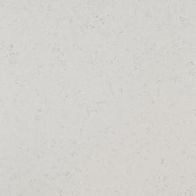 Load image into Gallery viewer, MSI Blanca Statuarietto 123" x 60" Quartz Slab