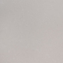 Load image into Gallery viewer, MSI Fossil Gray Matte 127" x 64" Quartz Slab