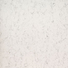 Load image into Gallery viewer, MSI Mara Blanca 123" x 60" Quartz Slab
