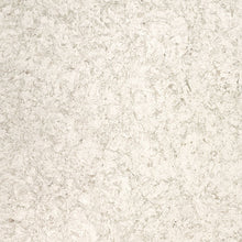 Load image into Gallery viewer, MSI Portico Cream 130" x 65" Quartz Slab