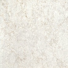 Load image into Gallery viewer, MSI Gray Lagoon 123" x 60" Quartz Slab