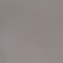 Load image into Gallery viewer, MSI Fossil Gray 127" x 64" Quartz Slab