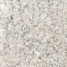 Load image into Gallery viewer, MSI Pacific Salt 127" x 64" Quartz Slab