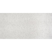 Load image into Gallery viewer, Silestone by Cosentino Nebula Alpha Series Blanco Orion 120" x 55" Quartz Slab