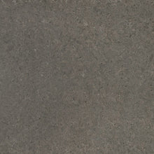 Load image into Gallery viewer, MSI Babylon Gray 123" x 60" Quartz Slab