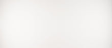 Load image into Gallery viewer, MSI Arctic White 123" x 60" Quartz Slab