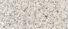 Load image into Gallery viewer, MSI Pacific Salt 127" x 64" Quartz Slab
