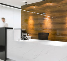 Load image into Gallery viewer, HanStone Tranquility 65" x 130" Quartz Slab