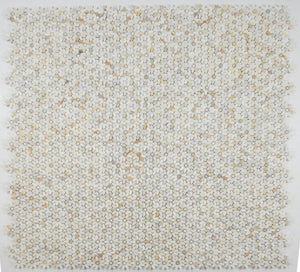 Elysium Tiles Daisy Wild Calacatta Gold 12.75" x 13.25" Mosaic Tile