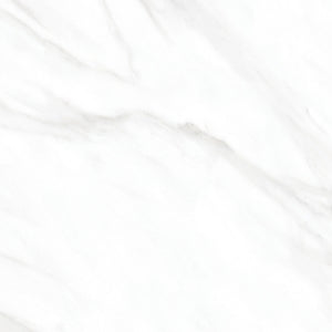 TW Calcutta White 24" x 24" Polished Porcelain Tile