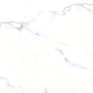 TW Ample Saturio 24" x 24" Polished Porcelain Tile