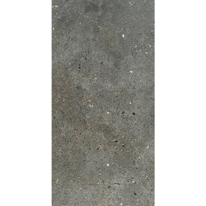 TW TT01-2 12" x 24" Matte Porcelain Tile