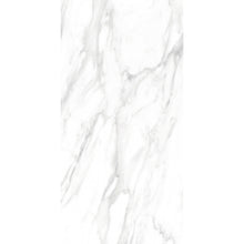 Load image into Gallery viewer, TW Silk Satuario 24&quot; x 48&quot; Polished Porcelain Tile
