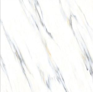 TW Satuario Elite 48" x 48" Polished Porcelain Tile