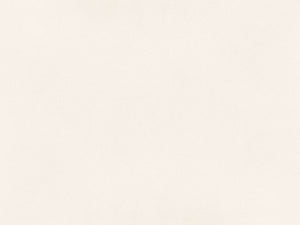 HanStone Bianco Canvas 65" x 130" Quartz Slab