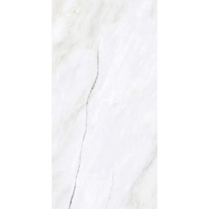 TW Creystal Satuario 24" x 48" Polished Porcelain Tile