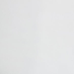 Raphael Stone Explosion White Leathered 123" x 60" Quartz Slab