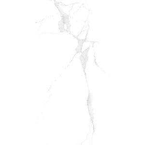 TW Alpine Carrara 12" x 24" Matte Finish Porcelain Tile