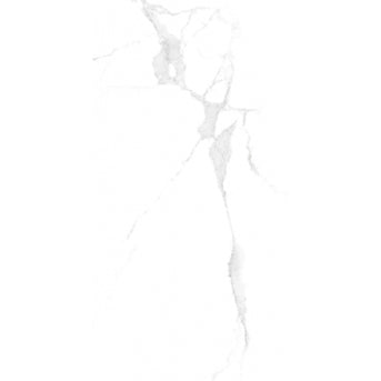 TW Alpine Carrara 12