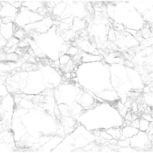 Load image into Gallery viewer, Porssa White Panther Bookmatched Side B 126&quot; x 63&quot; x 0.5&quot; Porcelain Slab
