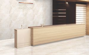 TW Delta Crema 24" x 48" Polished Porcelain Tile