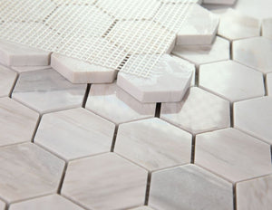 Elysium Tiles 2" x 2" Hexagon Euro Polished 12" x 11.75" Mosaic Tile