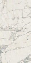 Load image into Gallery viewer, Elysium Tiles Prexious Mountain Treasure 12&quot; x 24&quot; Polished Porcelain Tile
