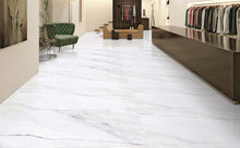 Load image into Gallery viewer, TW Creystal Satuario 24&quot; x 48&quot; Polished Porcelain Tile
