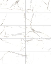 Load image into Gallery viewer, Ottimo Ceramics Calacatta Oro Polished 24&quot; x 48&quot; Porcelain Tile
