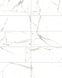 Ottimo Ceramics Calacatta Oro Polished 24" x 48" Porcelain Tile