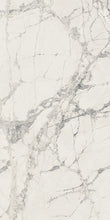 Load image into Gallery viewer, Elysium Tiles Prexious Mountain Treasure 12&quot; x 24&quot; Polished Porcelain Tile
