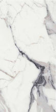 Load image into Gallery viewer, Elysium Tiles Origines Argent 12&quot; x 24&quot; Matte Porcelain Tile
