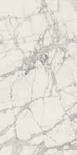 Load image into Gallery viewer, Elysium Tiles Prexious Mountain Treasure 12&quot; x 24&quot; Polished Porcelain Tile
