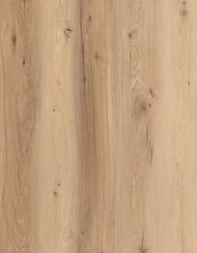 Lions Floor The Indoor Delight Collection Homewood Waltz 9